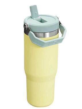 Stanley The IceFlow 30 oz Classic Flip Straw Tumbler Pomelo Yellow NEW